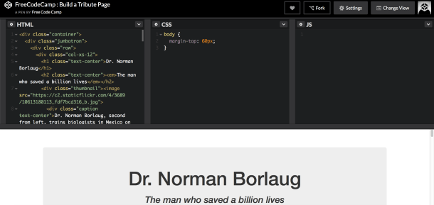 codepen-4