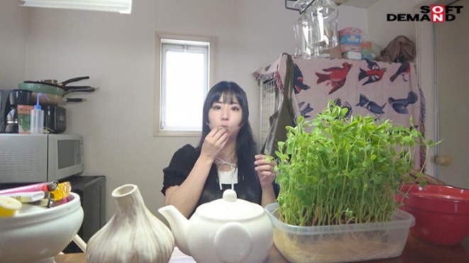 1sdam00125jp-14.jpg